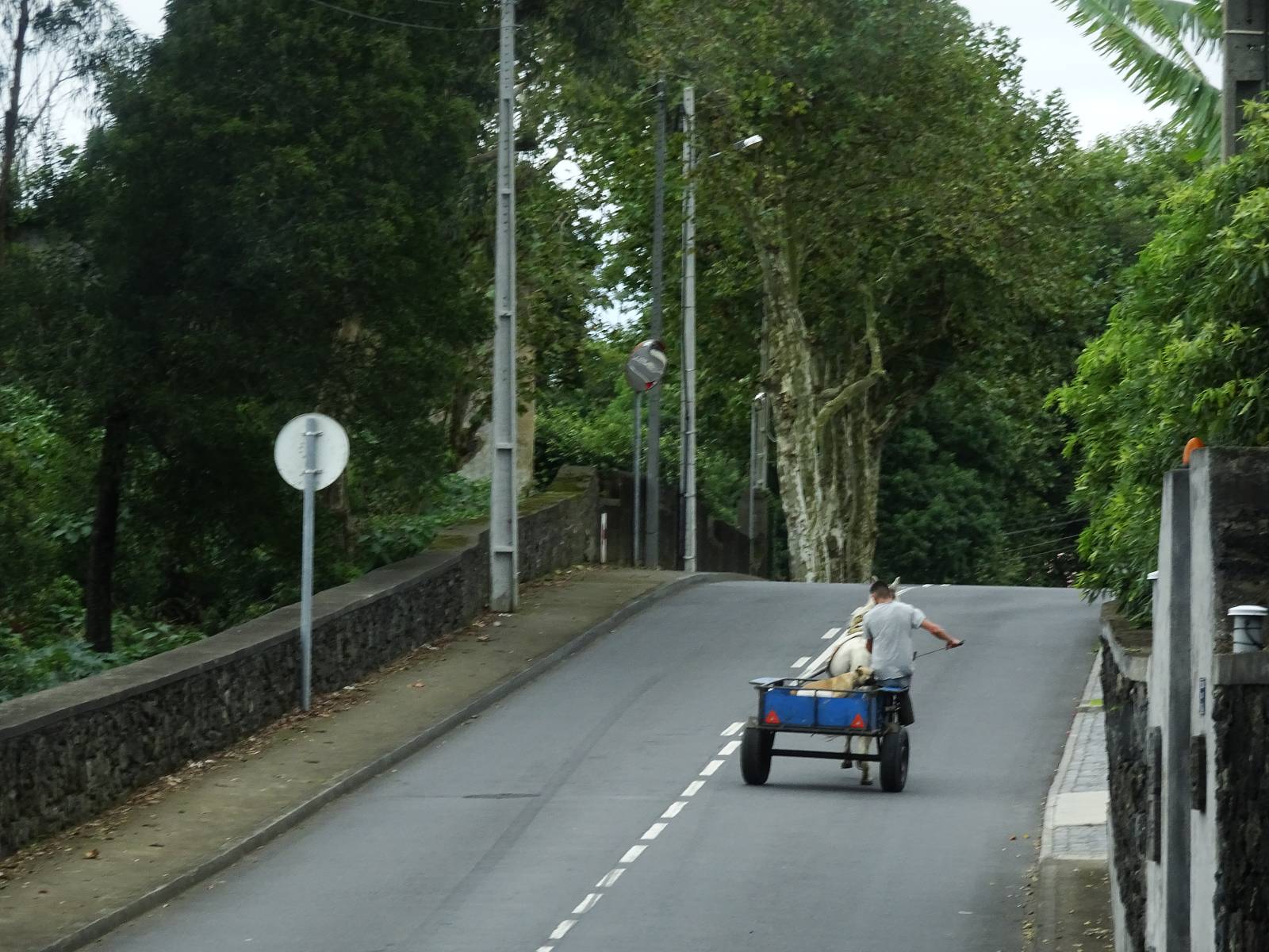 DSC03284_%281600_x_1200%29