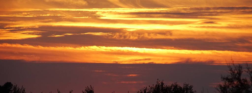 DSC02179_S_%281024_x_768%29