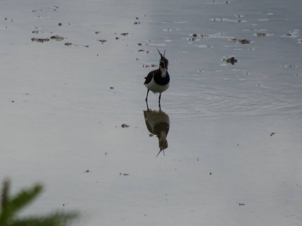 DSC00996_%281280_x_1024%29