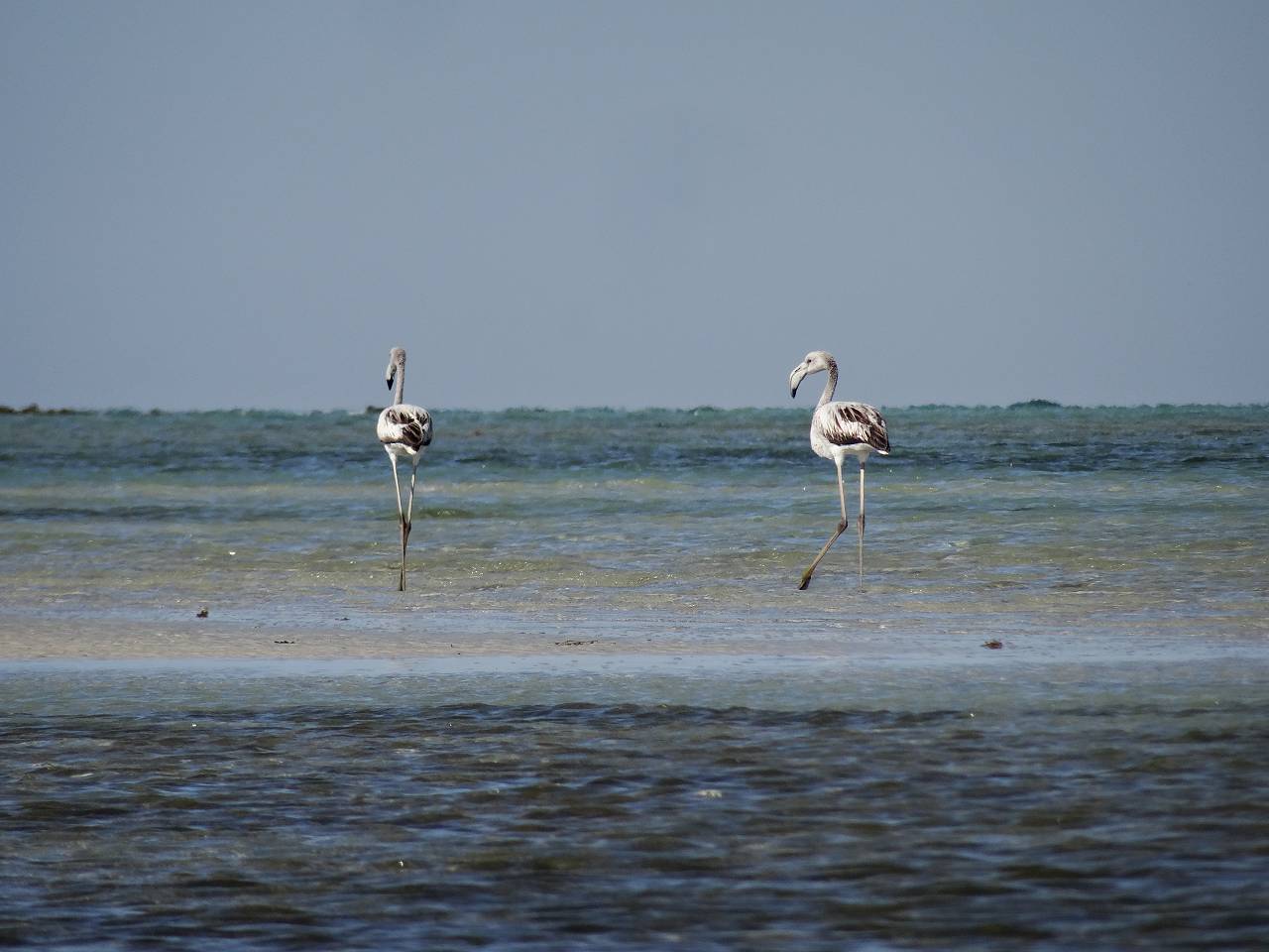 DSC07518_%281280_x_1024%29