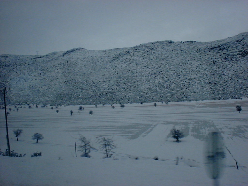 DSCF0087