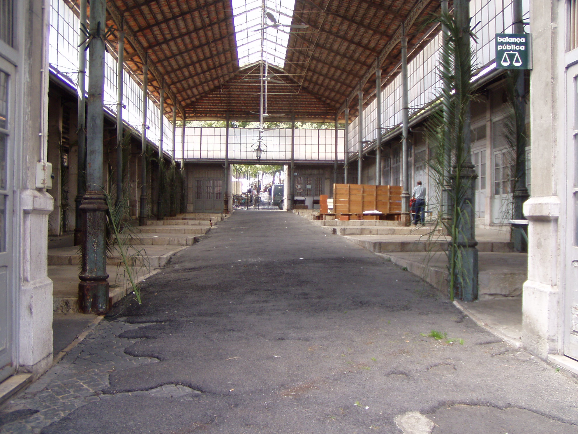 P8030005