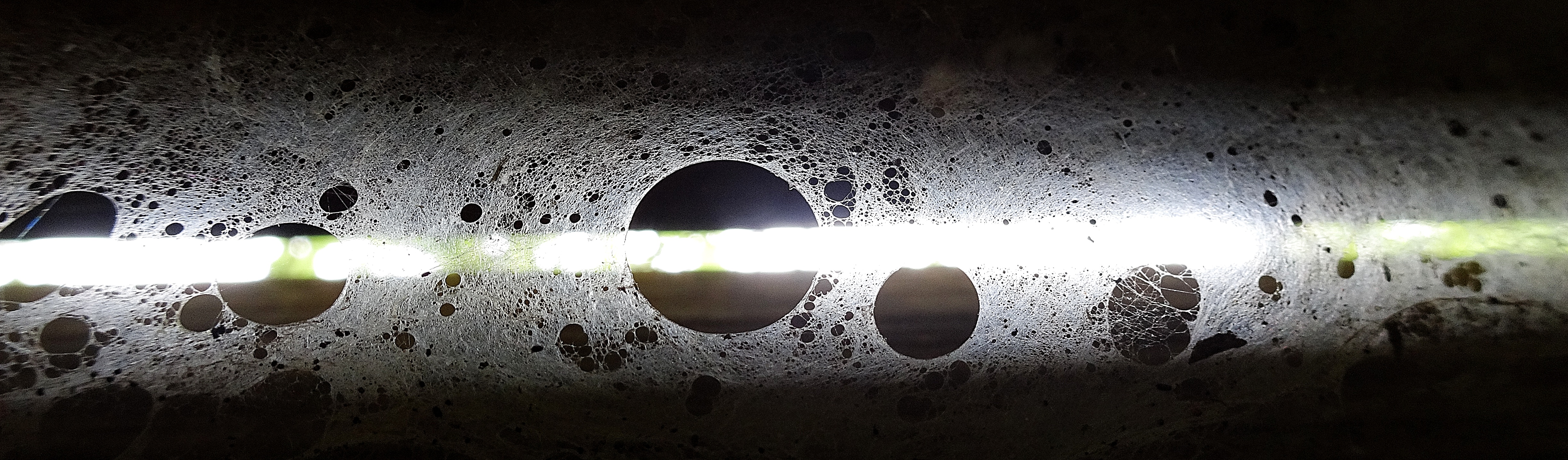 DSC00896_S