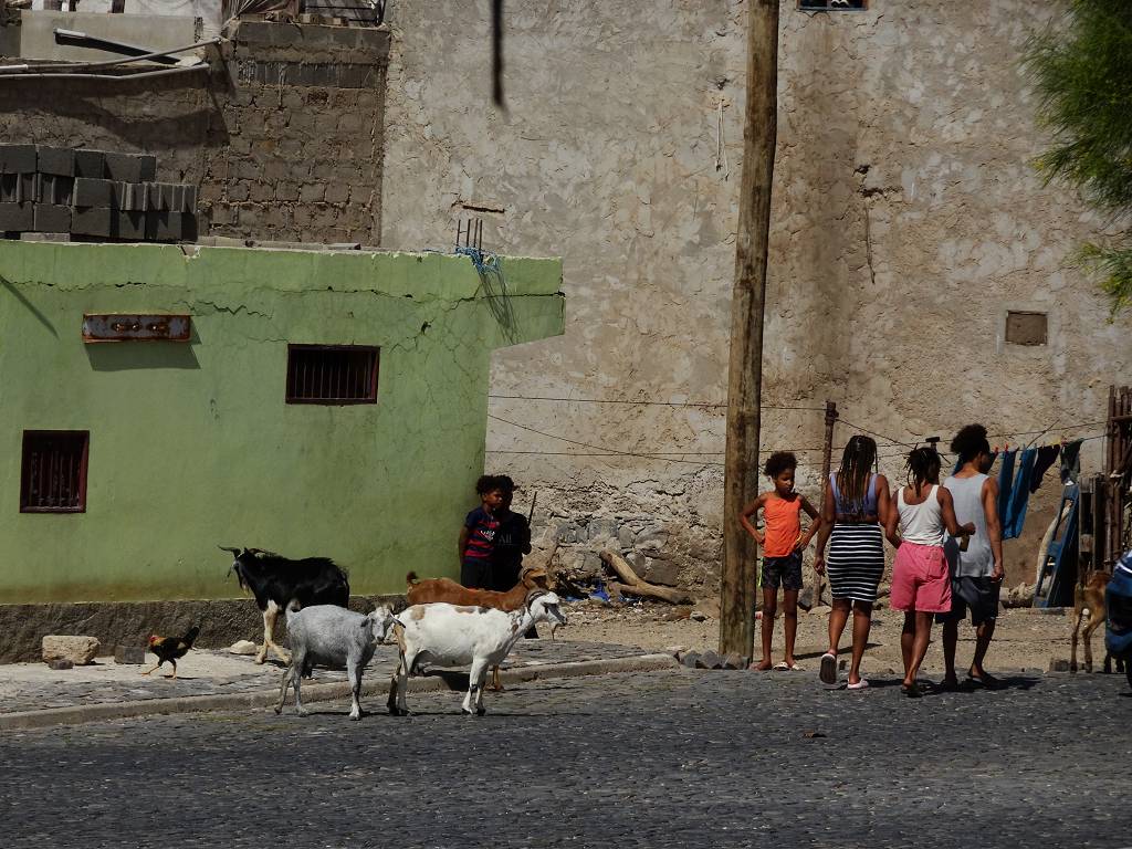DSC09612_%281024_x_768%29