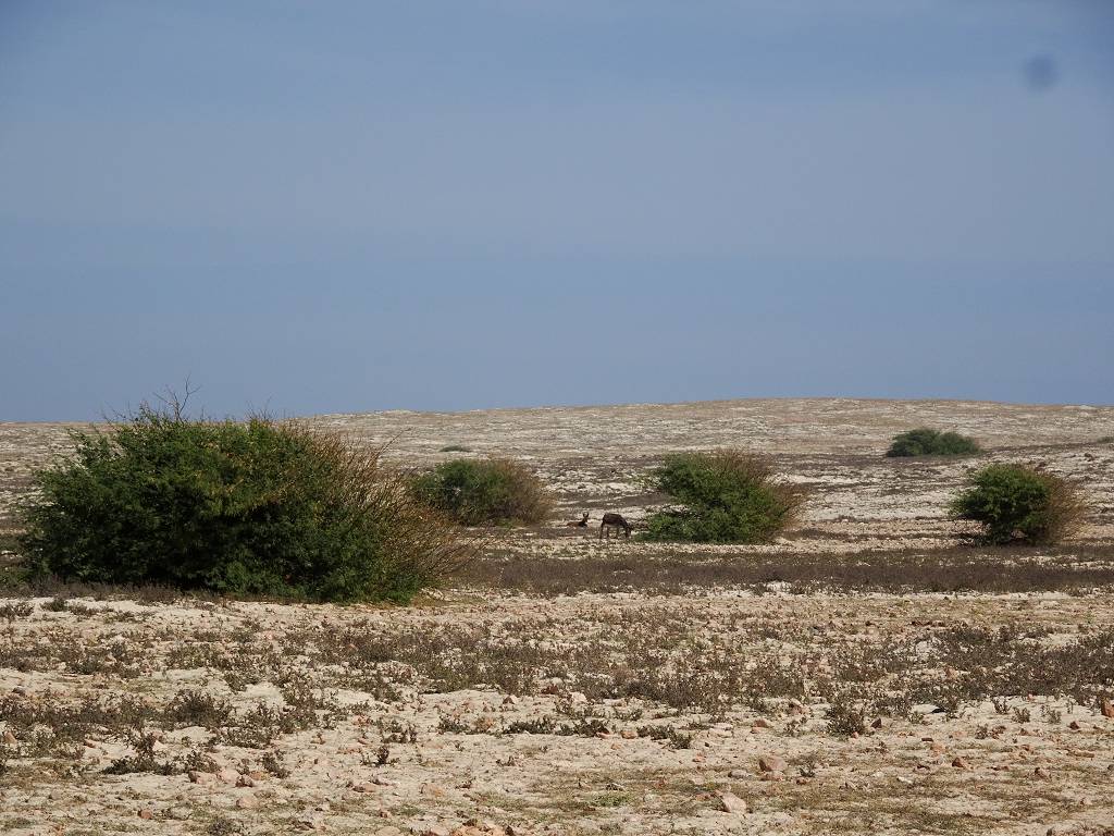 DSC09673_%281024_x_768%29